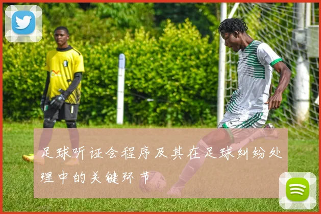 足球听证会程序及其在足球纠纷处理中的关键环节