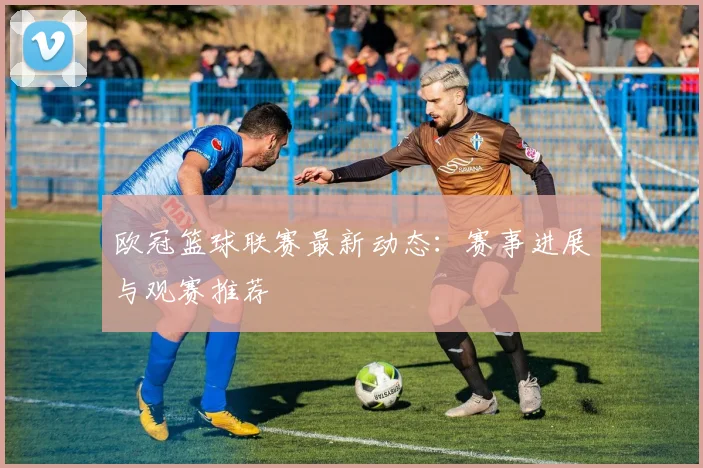 欧冠篮球联赛最新动态：赛事进展与观赛推荐