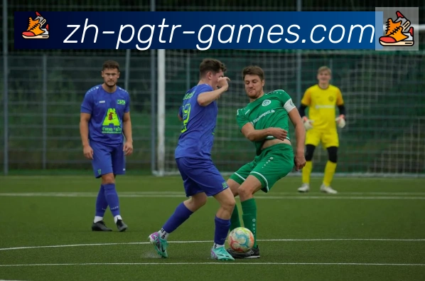 奖项图3